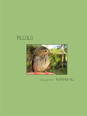 cover image of Piccolo--deutsche Version